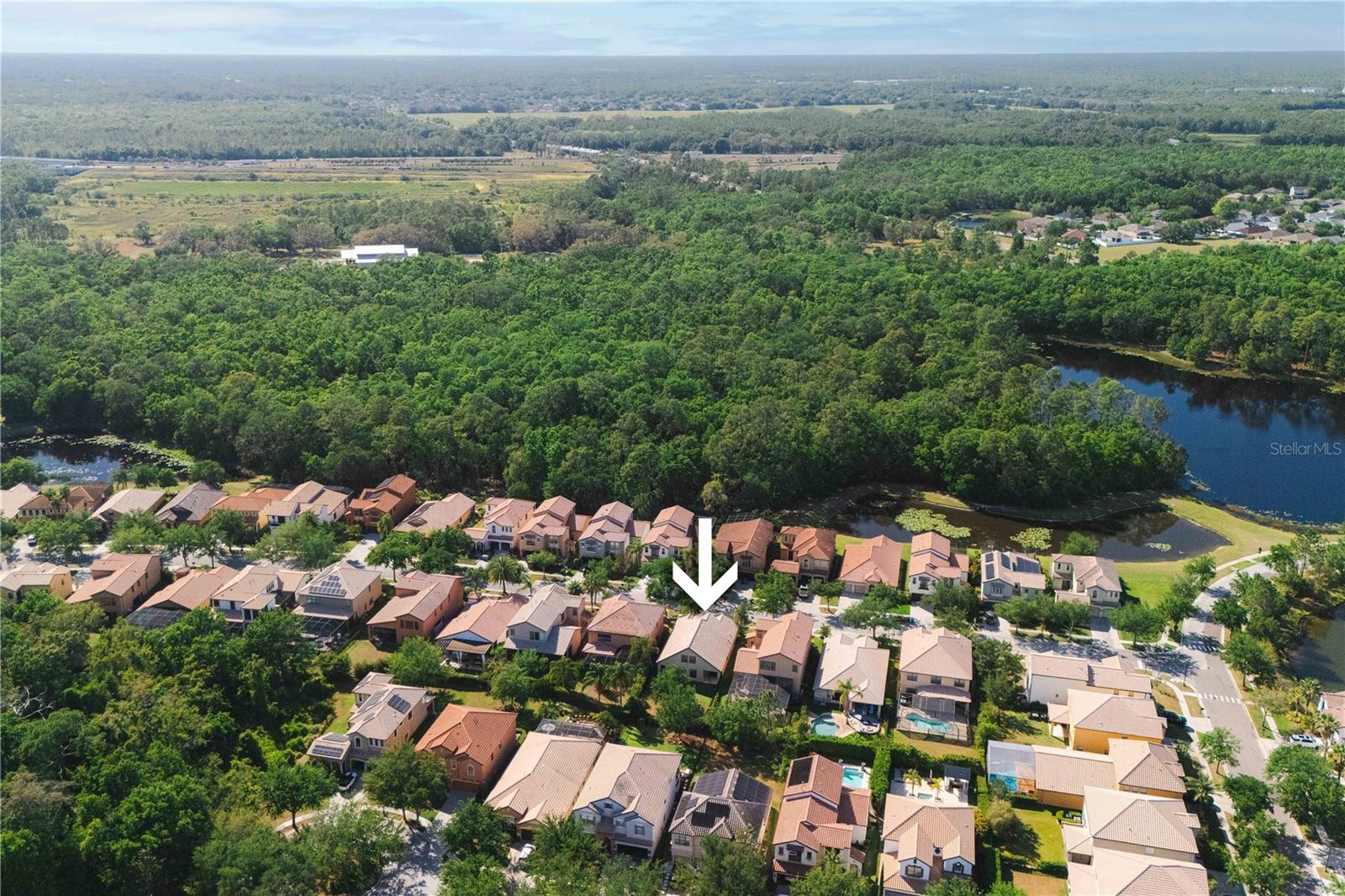 20329 HERITAGE POINT DR, TAMPA, FL, 33647