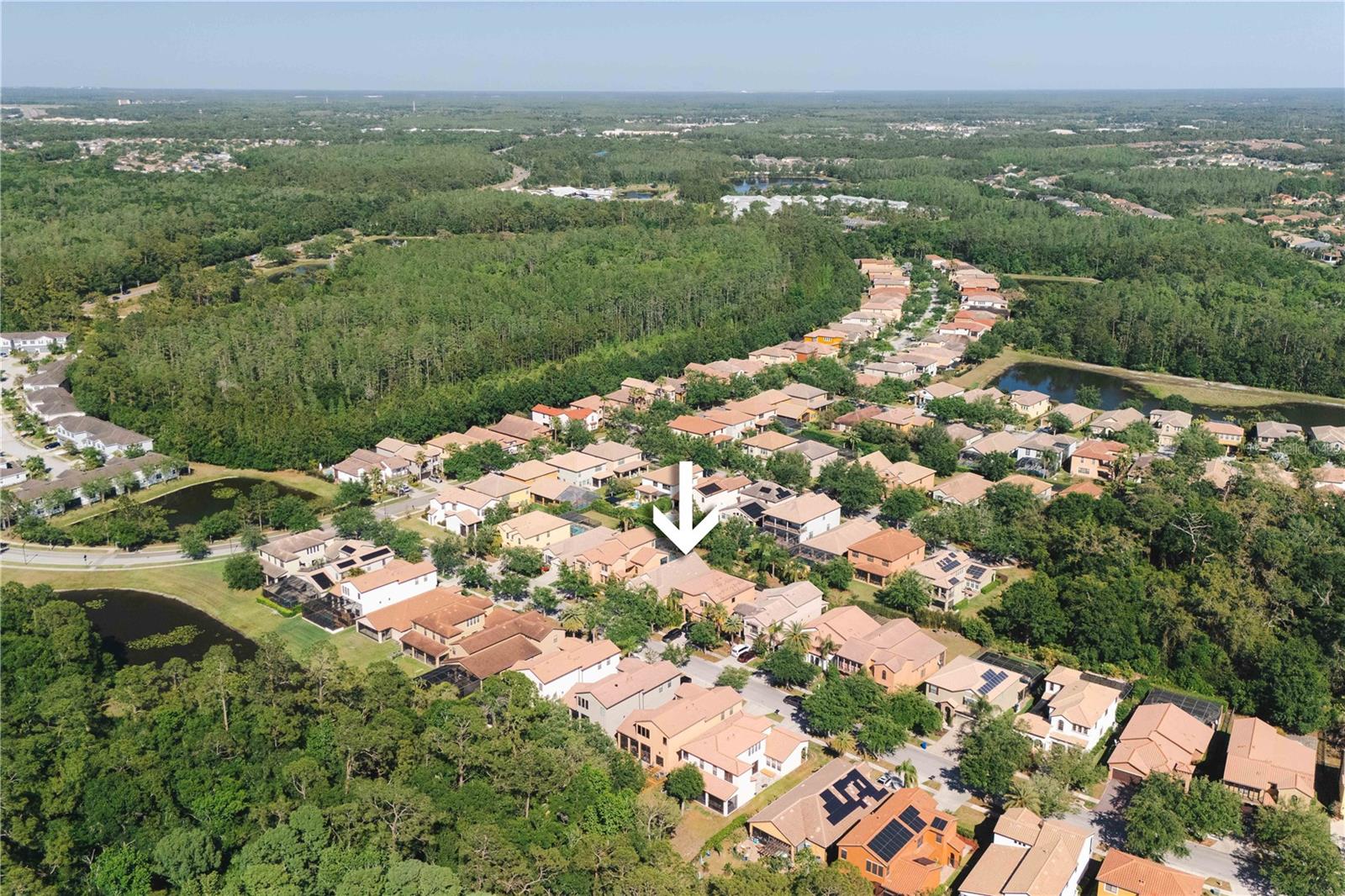 20329 HERITAGE POINT DR, TAMPA, FL, 33647