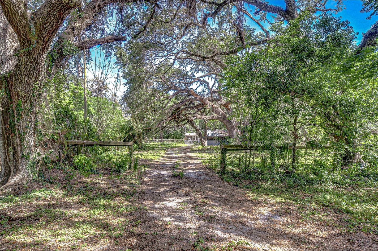 37348 TUCKER RD, ZEPHYRHILLS, FL, 33541