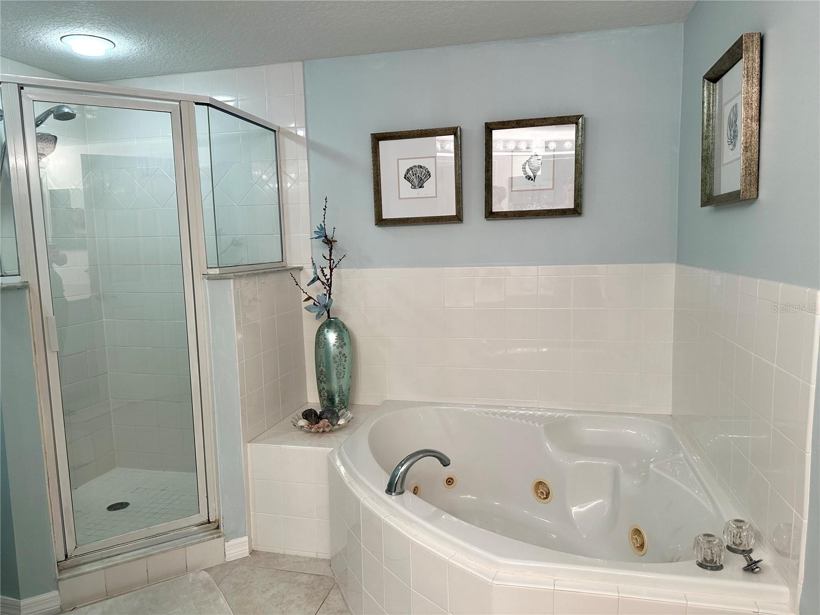 5300 S ATLANTIC AVE #8-402, NEW SMYRNA BEACH, FL, 32169