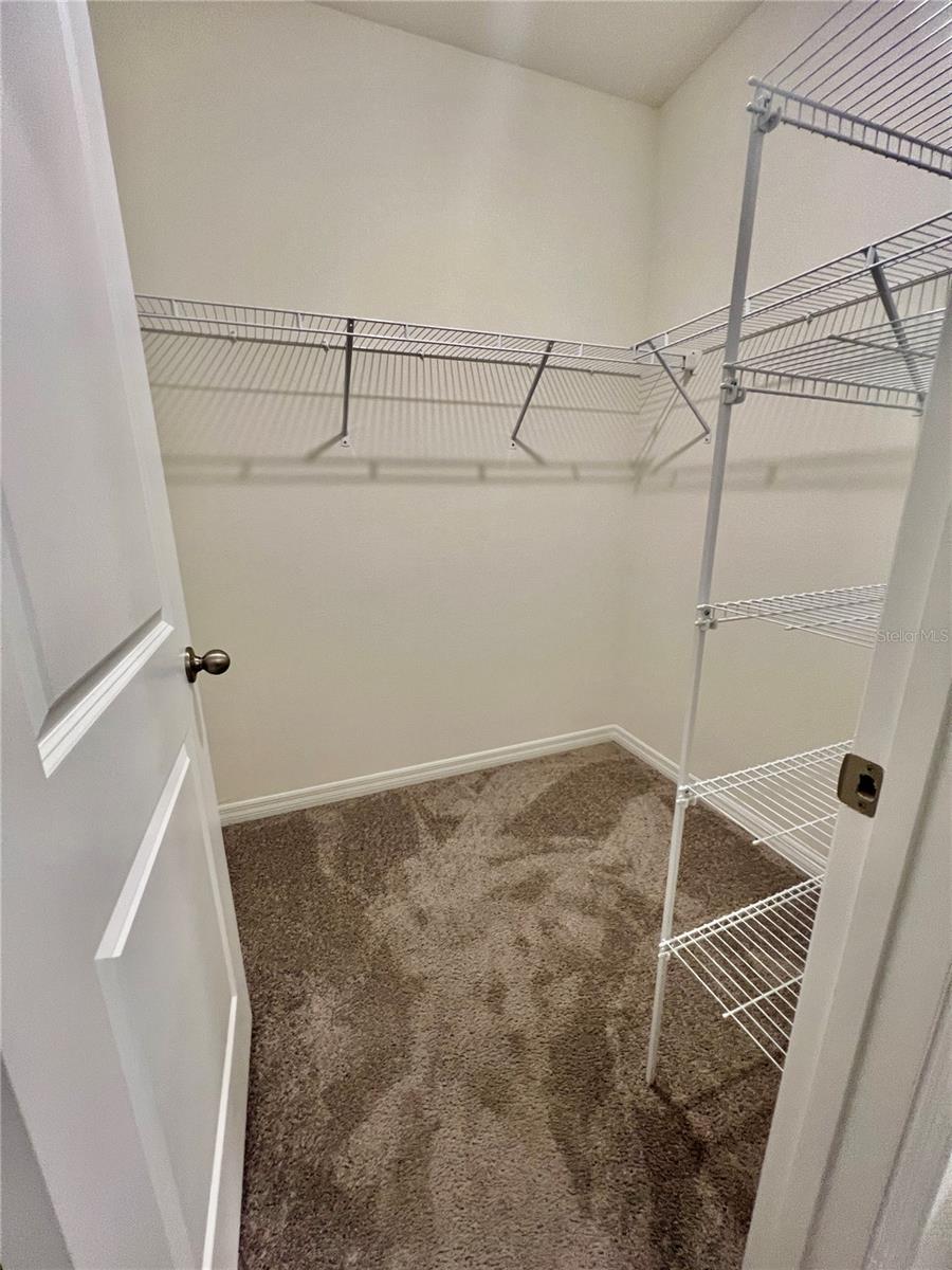 32557 TURTLE GRACE LOOP, WESLEY CHAPEL, FL, 33545