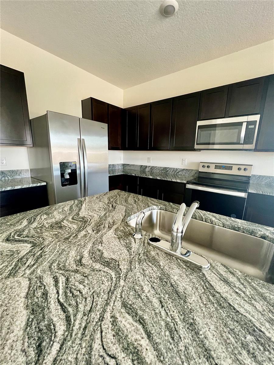 32557 TURTLE GRACE LOOP, WESLEY CHAPEL, FL, 33545