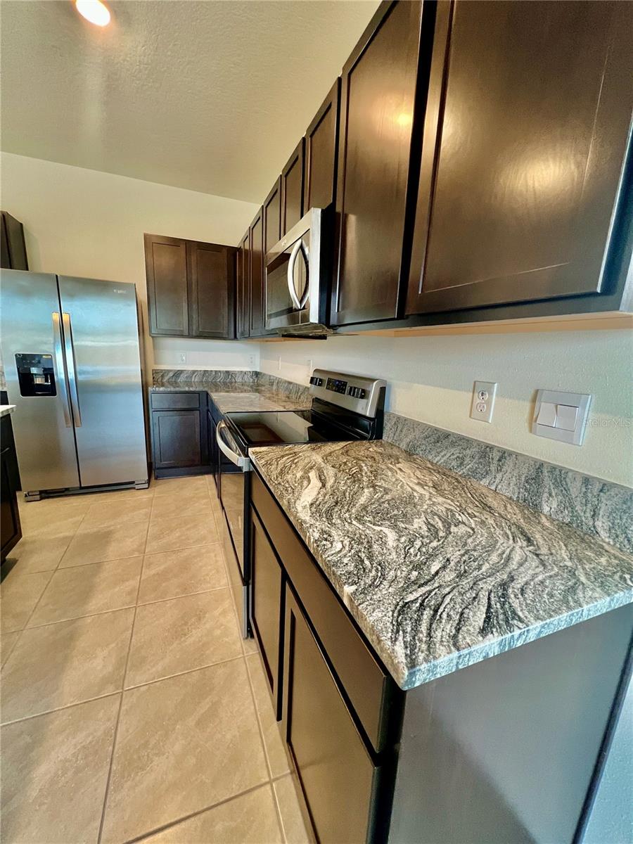 32557 TURTLE GRACE LOOP, WESLEY CHAPEL, FL, 33545