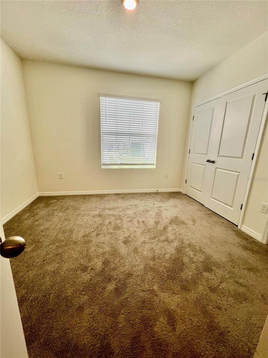 32557 TURTLE GRACE LOOP, WESLEY CHAPEL, FL, 33545