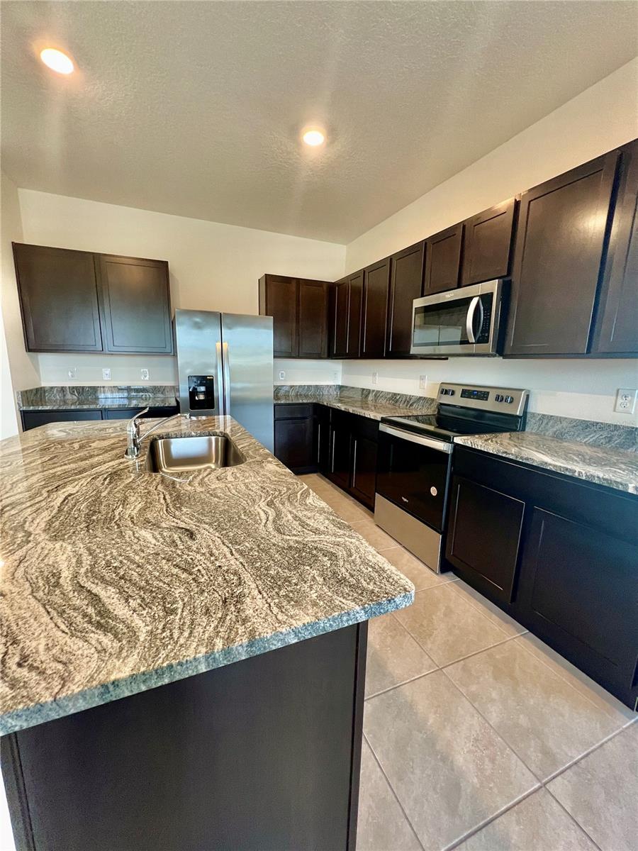 32557 TURTLE GRACE LOOP, WESLEY CHAPEL, FL, 33545