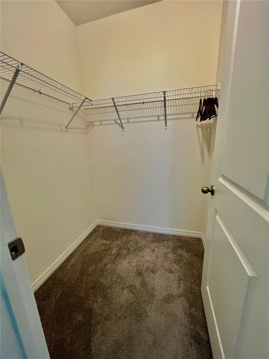 32557 TURTLE GRACE LOOP, WESLEY CHAPEL, FL, 33545