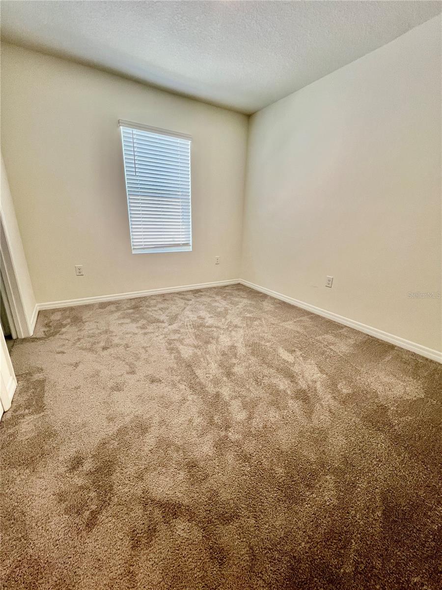 32557 TURTLE GRACE LOOP, WESLEY CHAPEL, FL, 33545