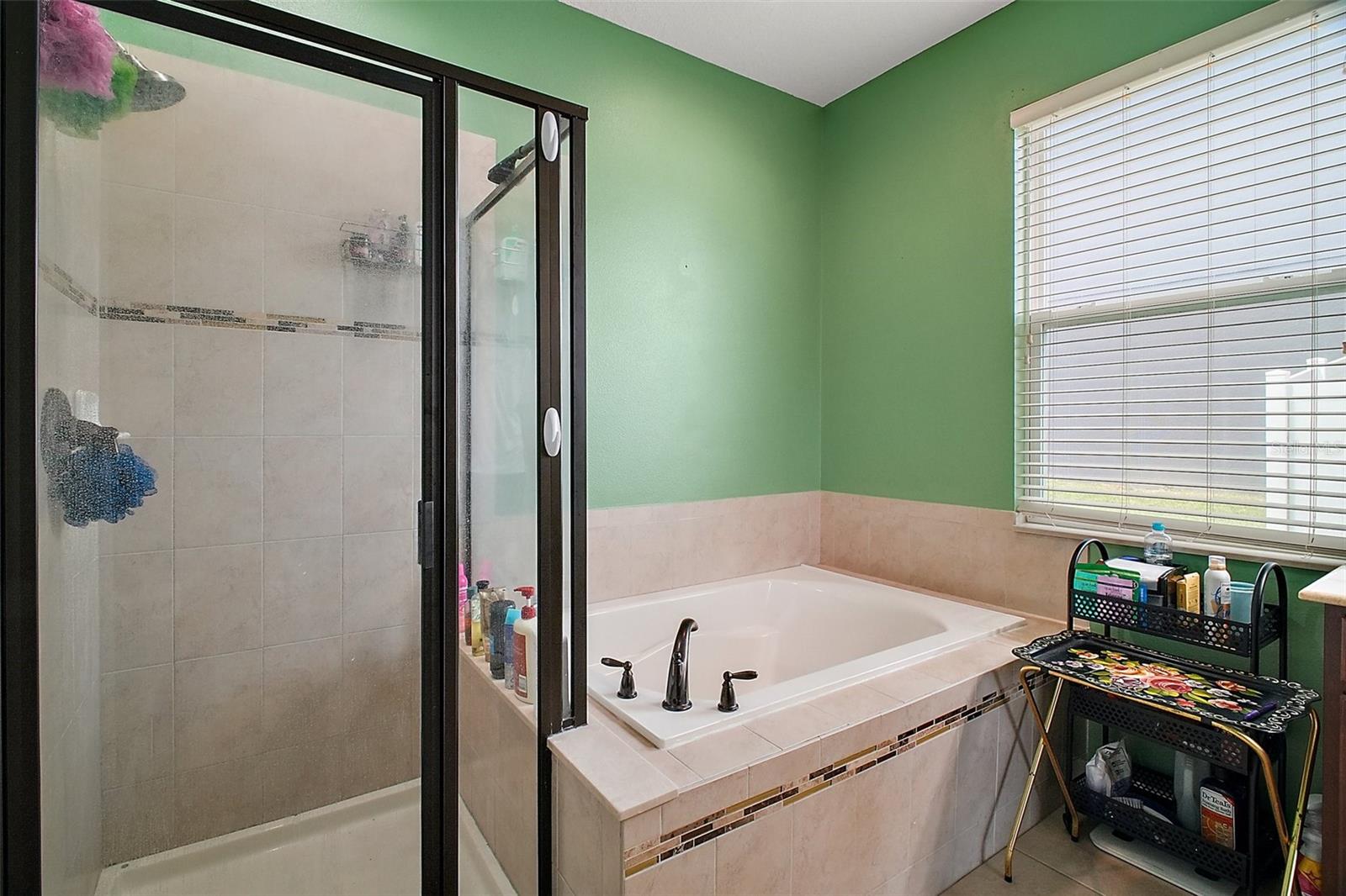 3129 SPICER AVE, GRAND ISLAND, FL, 32735