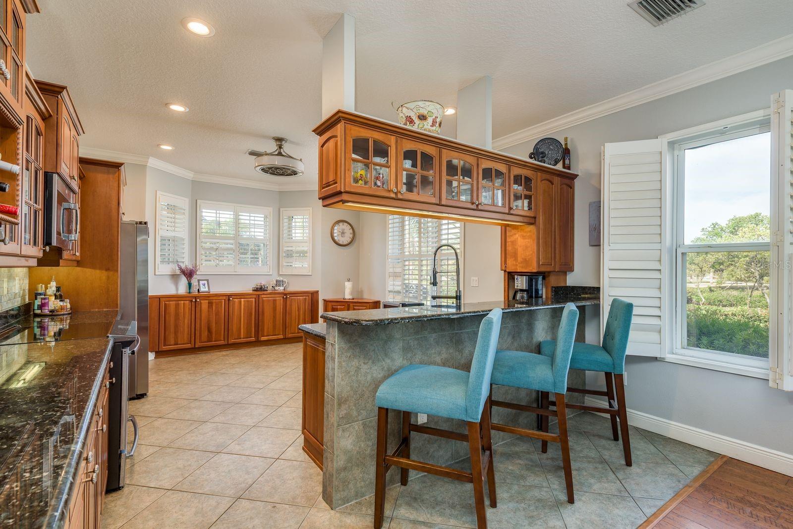 339 MANATEE LN, TARPON SPRINGS, FL, 34689