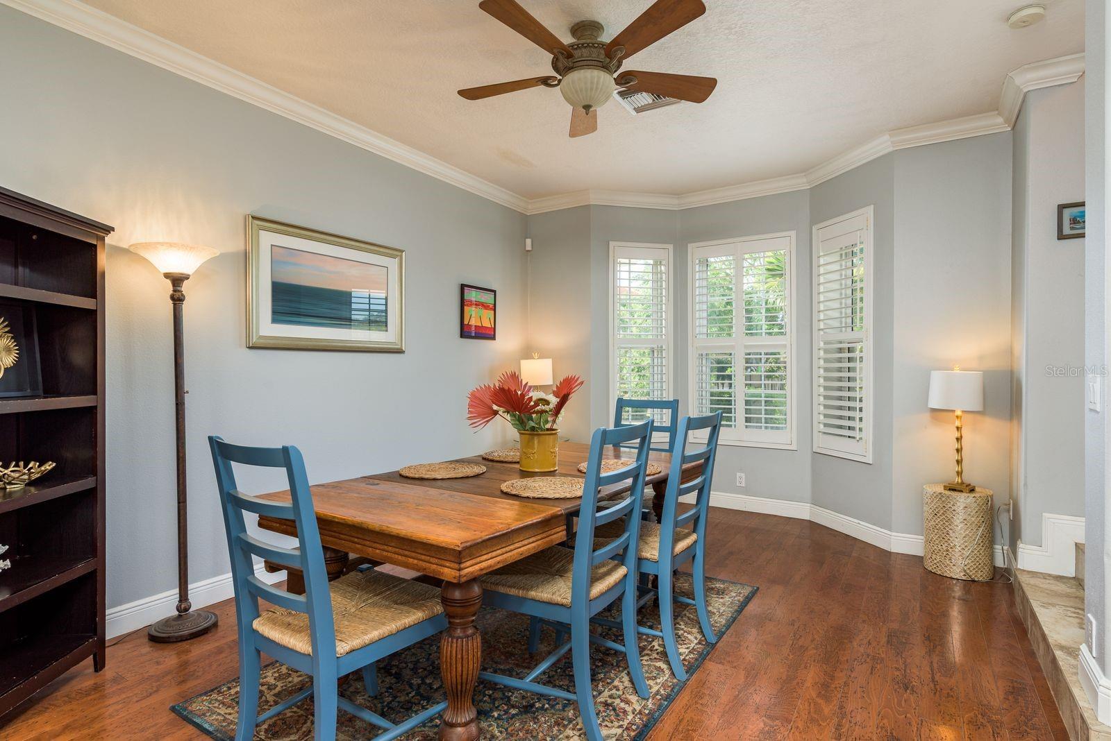 339 MANATEE LN, TARPON SPRINGS, FL, 34689