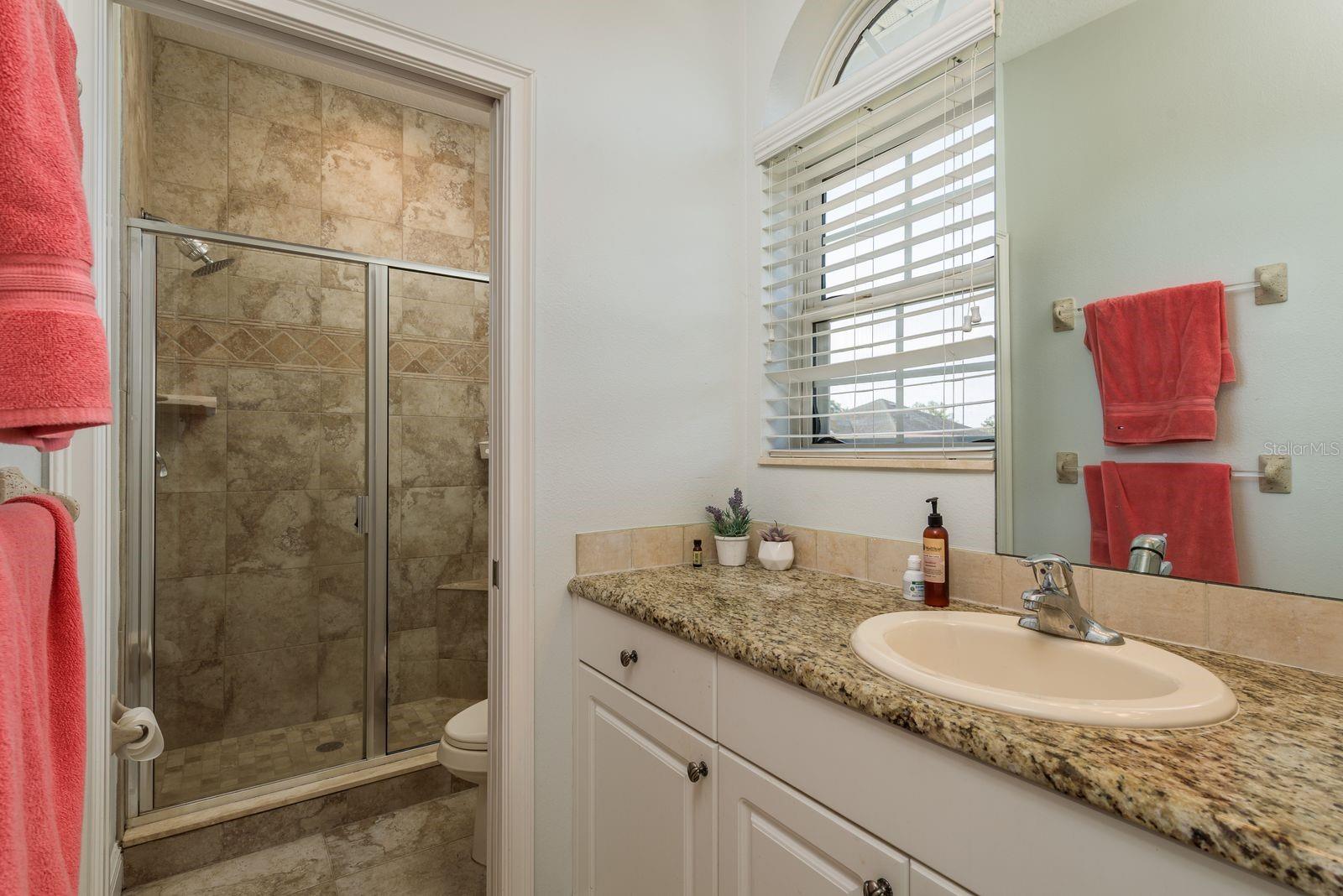 339 MANATEE LN, TARPON SPRINGS, FL, 34689