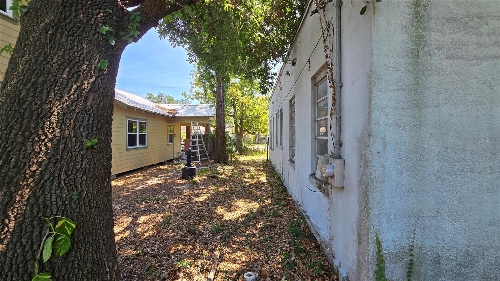 317 W WILDER AVE, TAMPA, FL, 33603