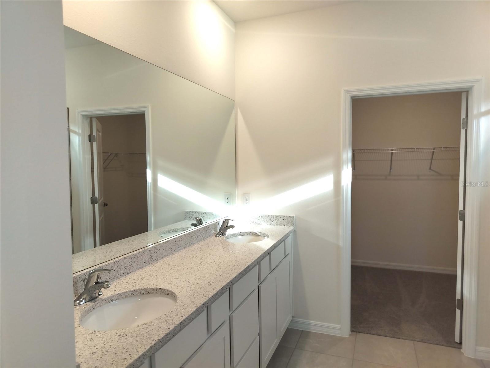 3132 CANOPY OAK BLVD, WILDWOOD, FL, 34785