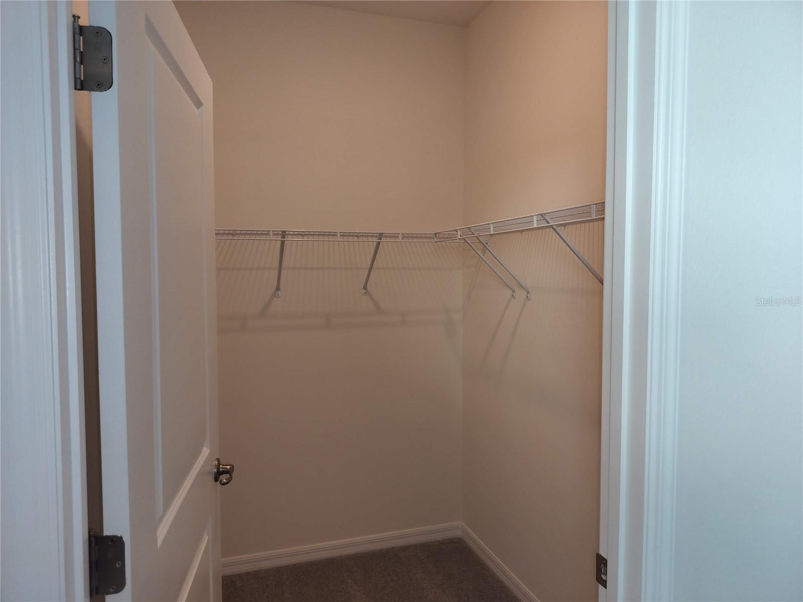 3132 CANOPY OAK BLVD, WILDWOOD, FL, 34785