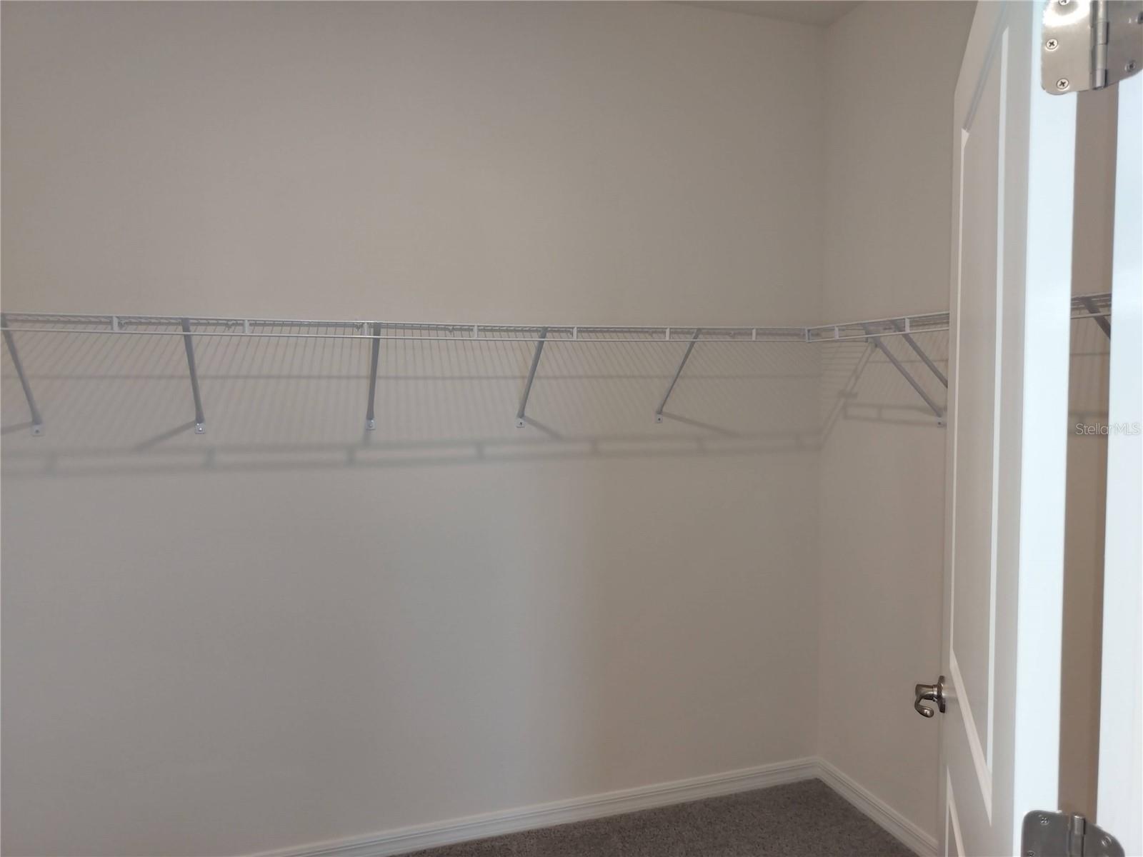 3132 CANOPY OAK BLVD, WILDWOOD, FL, 34785