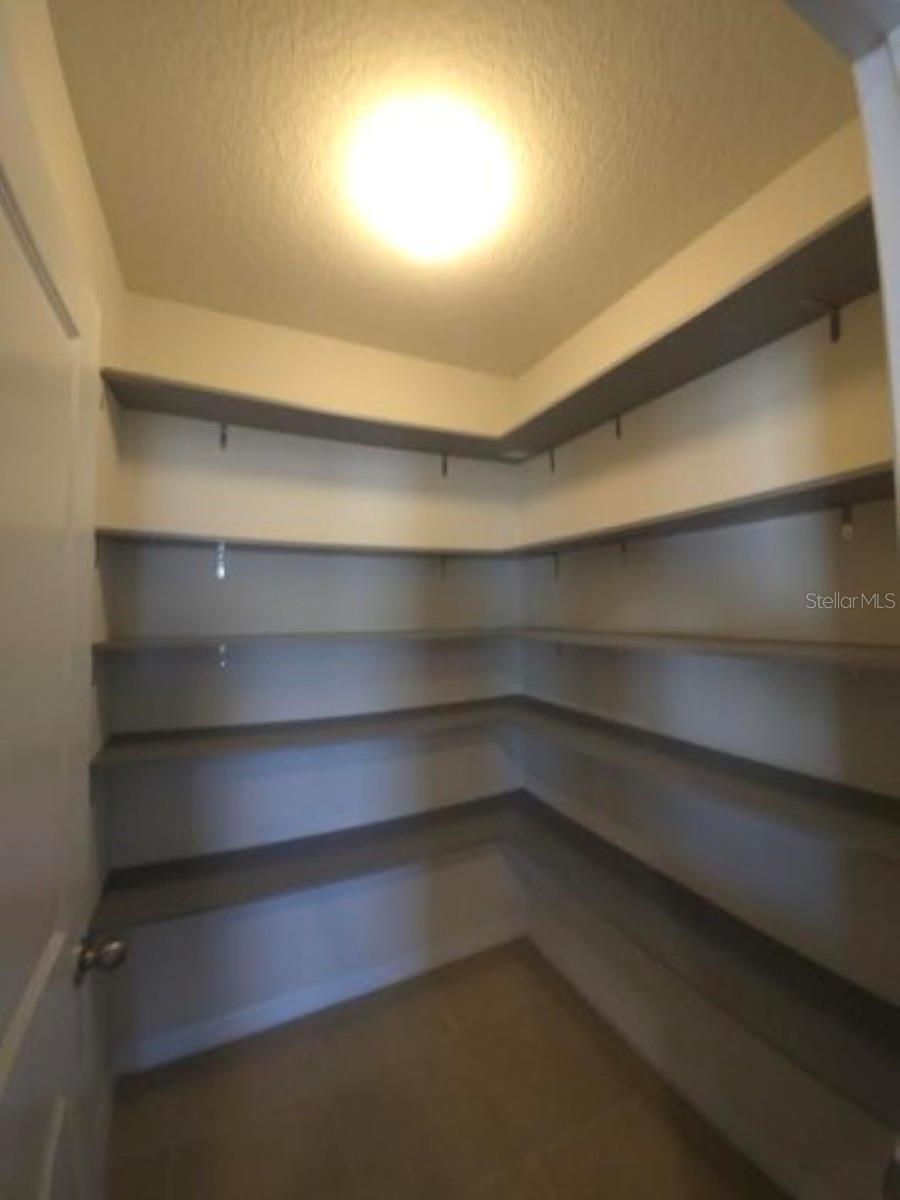 1580 BERING RD, WESLEY CHAPEL, FL, 33543