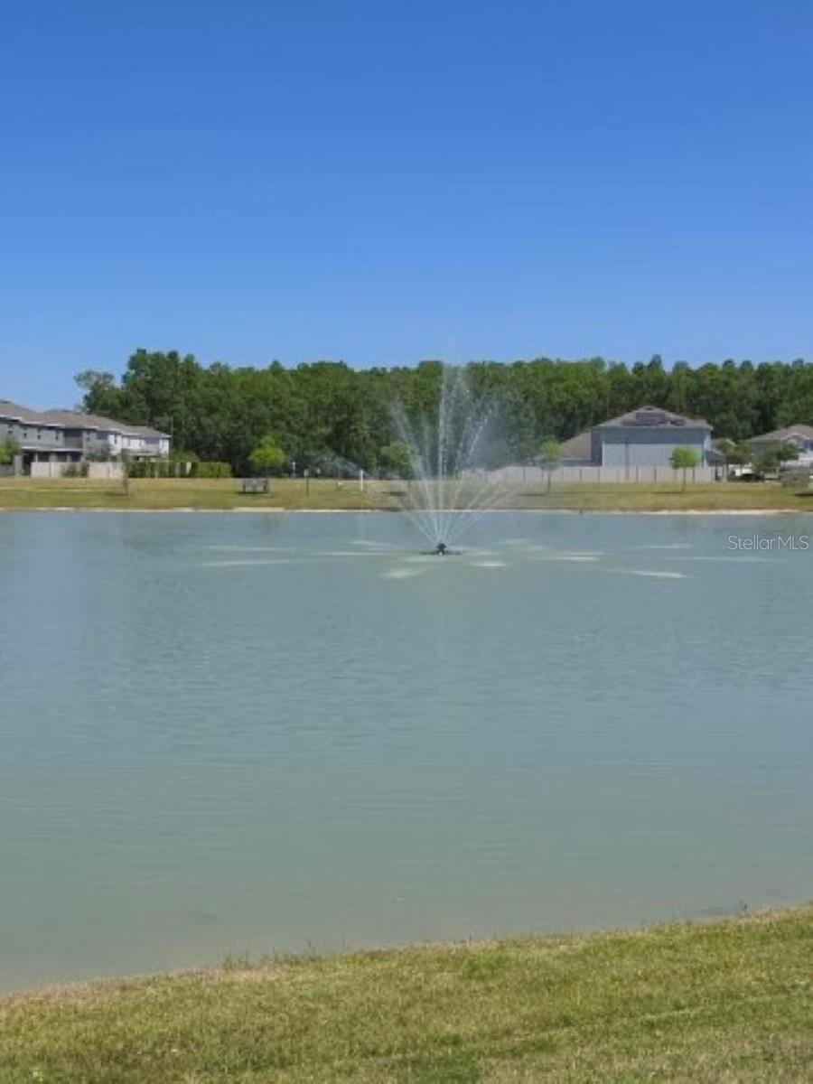 1580 BERING RD, WESLEY CHAPEL, FL, 33543