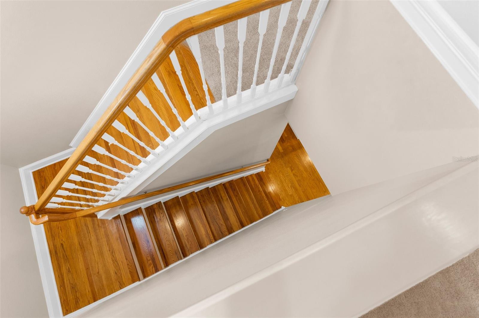 916 HEMINGWAY CIR, TAMPA, FL, 33602