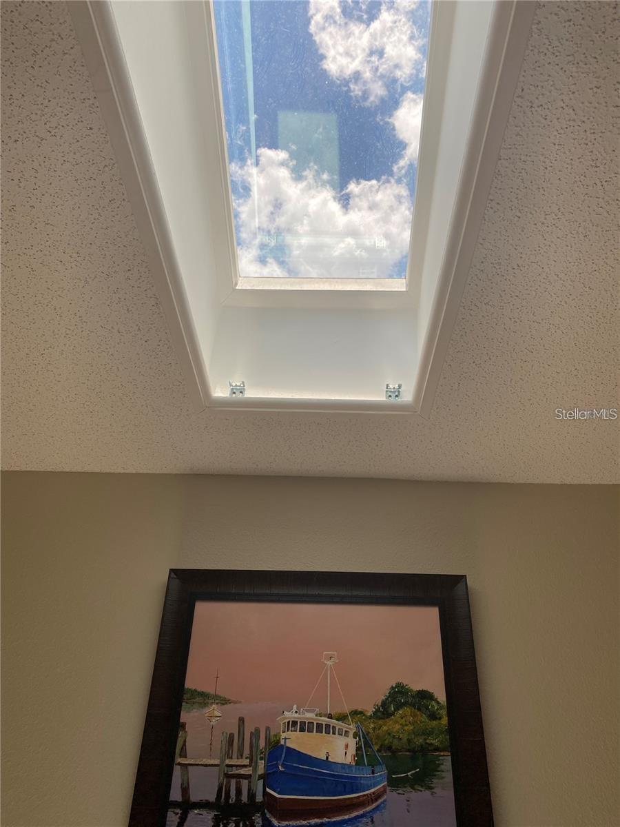 2231 LARK CIR E #A, PALM HARBOR, FL, 34684