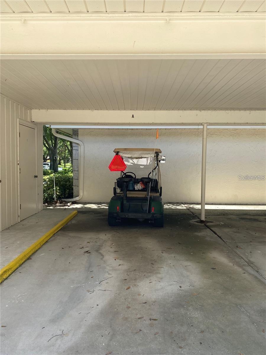 2231 LARK CIR E #A, PALM HARBOR, FL, 34684