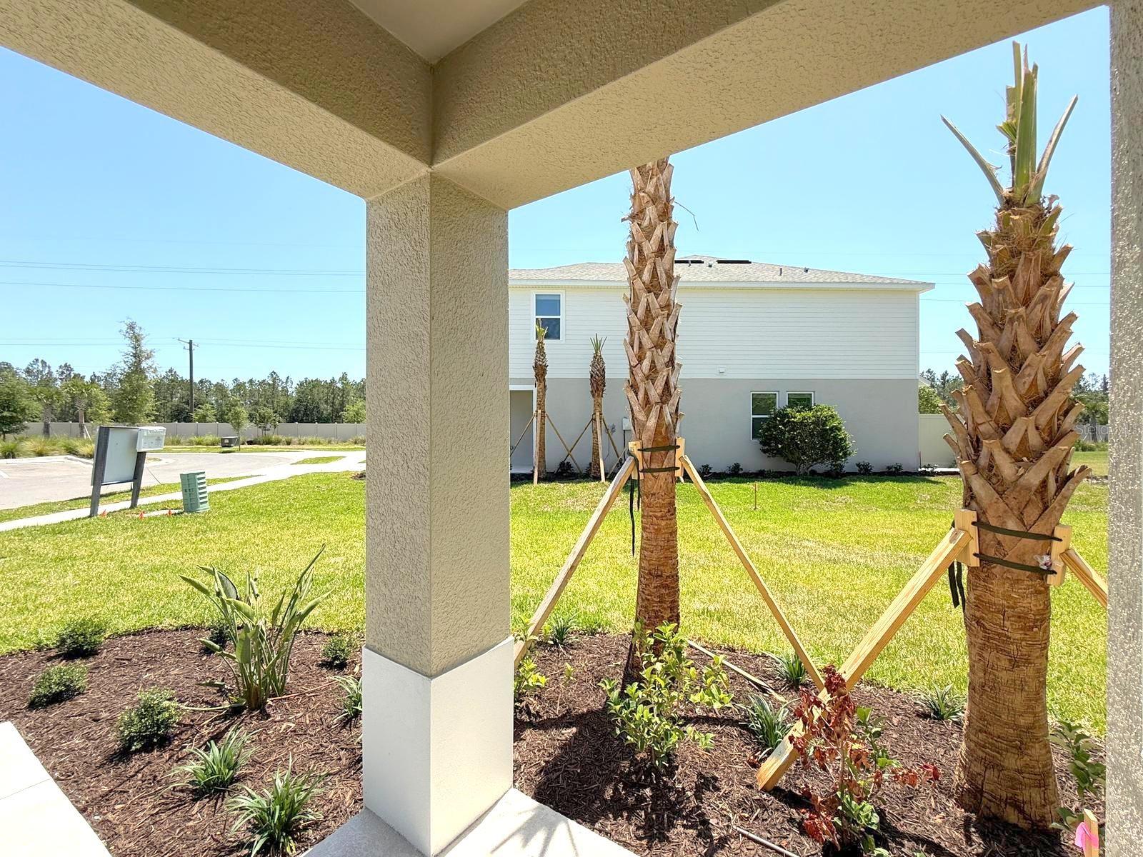 2081 HALLIER CV, WESLEY CHAPEL, FL, 33543