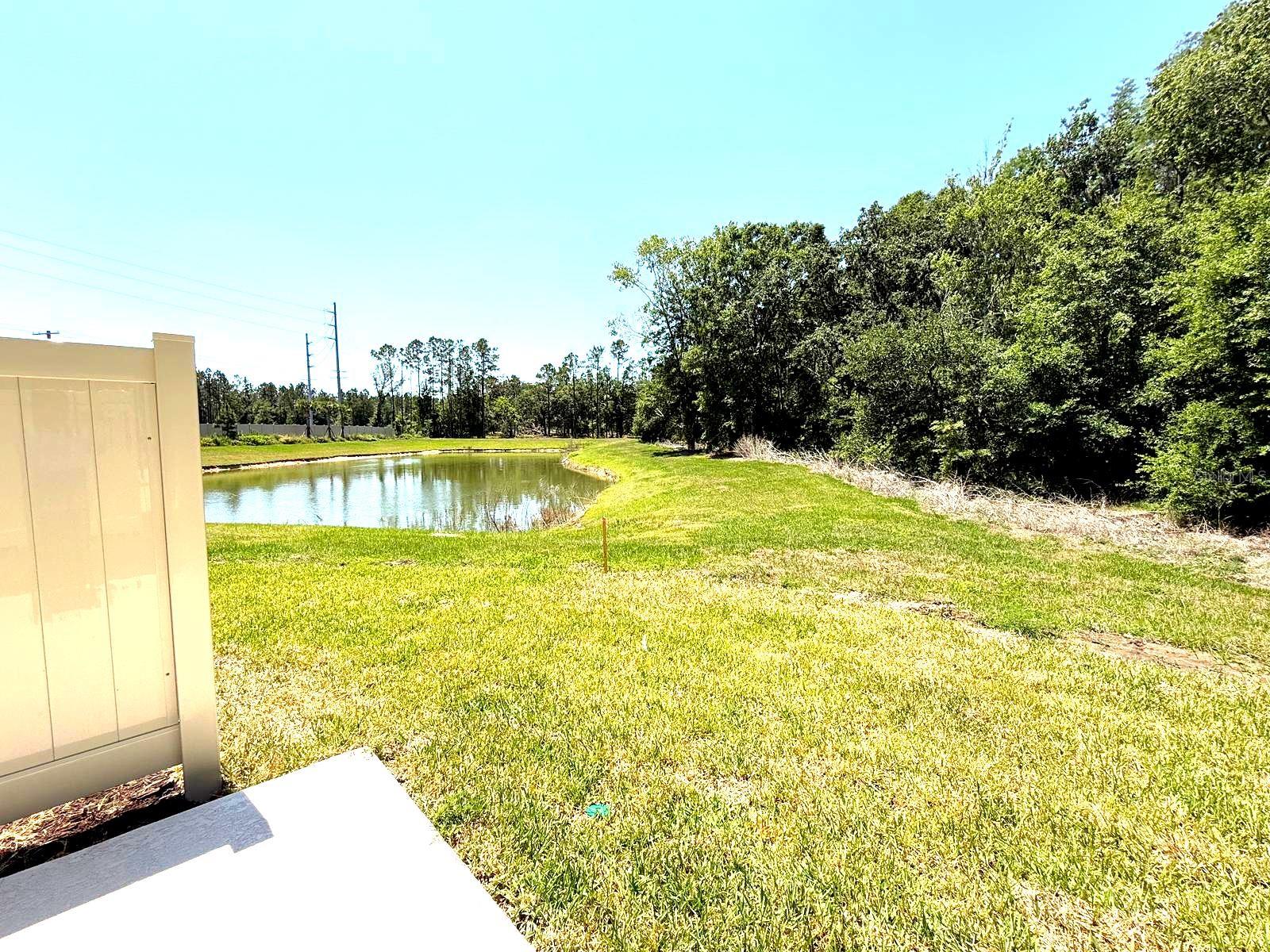 2081 HALLIER CV, WESLEY CHAPEL, FL, 33543