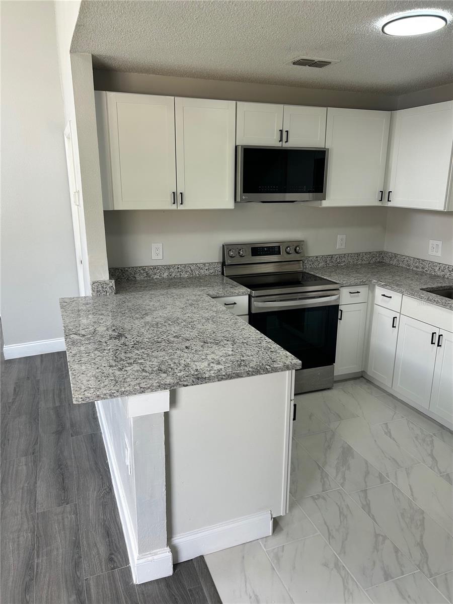 12219 ARMENIA GABLES CIR, TAMPA, FL, 33612