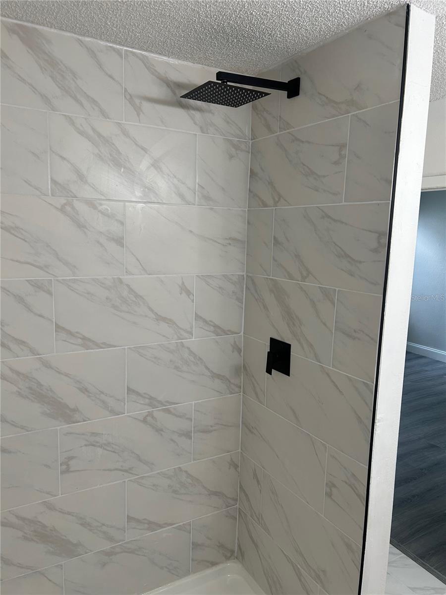 12219 ARMENIA GABLES CIR, TAMPA, FL, 33612