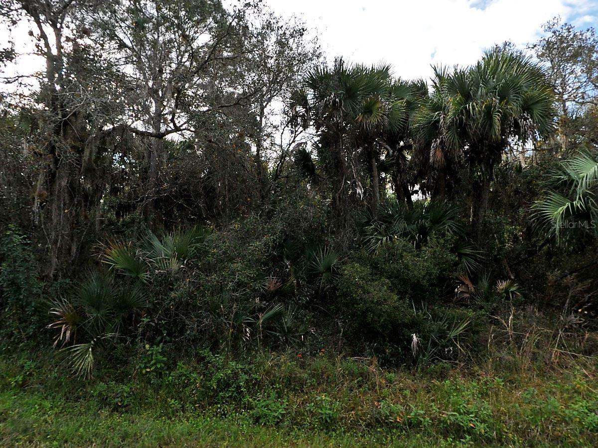 OCARINA RD, NORTH PORT, FL, 34291