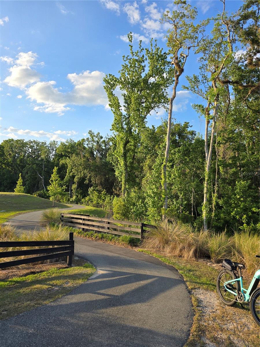 6988 LAWRENCEVILLE WAY, THE VILLAGES, FL, 34762