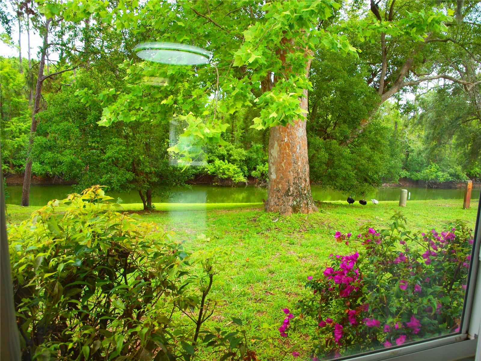 8600 VILLAGE MILL ROW, HUDSON, FL, 34667