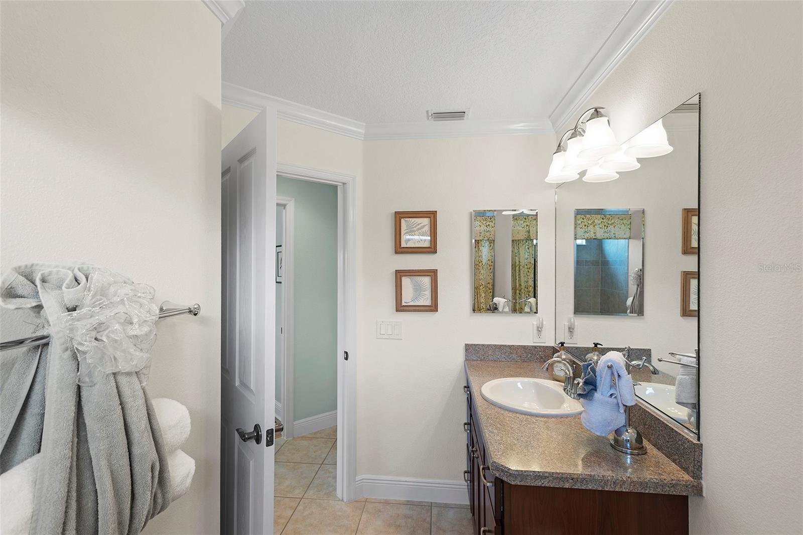 1140 EUREKA MILL RUN, THE VILLAGES, FL, 32162