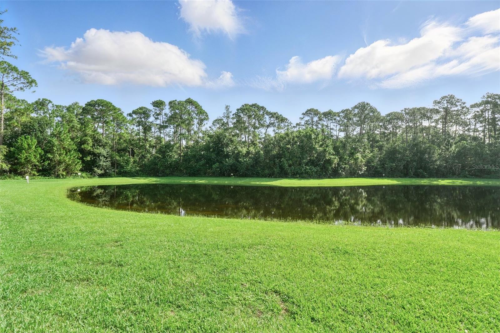 12867 WOODMERE CLOSE DR, WINDERMERE, FL, 34786