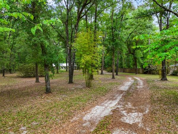 23225 NW COUNTY RD. 236, HIGH SPRINGS, FL, 32643