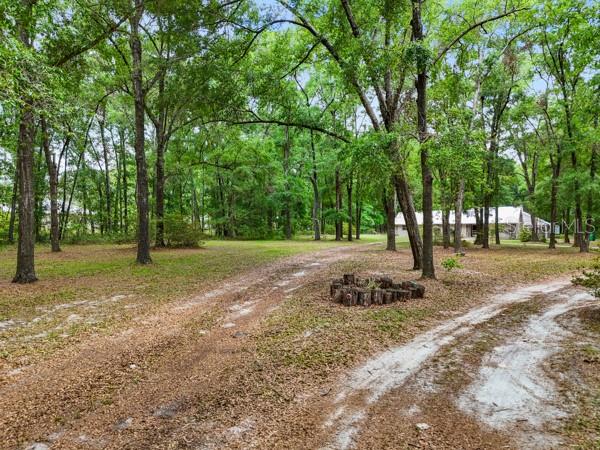 23225 NW COUNTY RD. 236, HIGH SPRINGS, FL, 32643