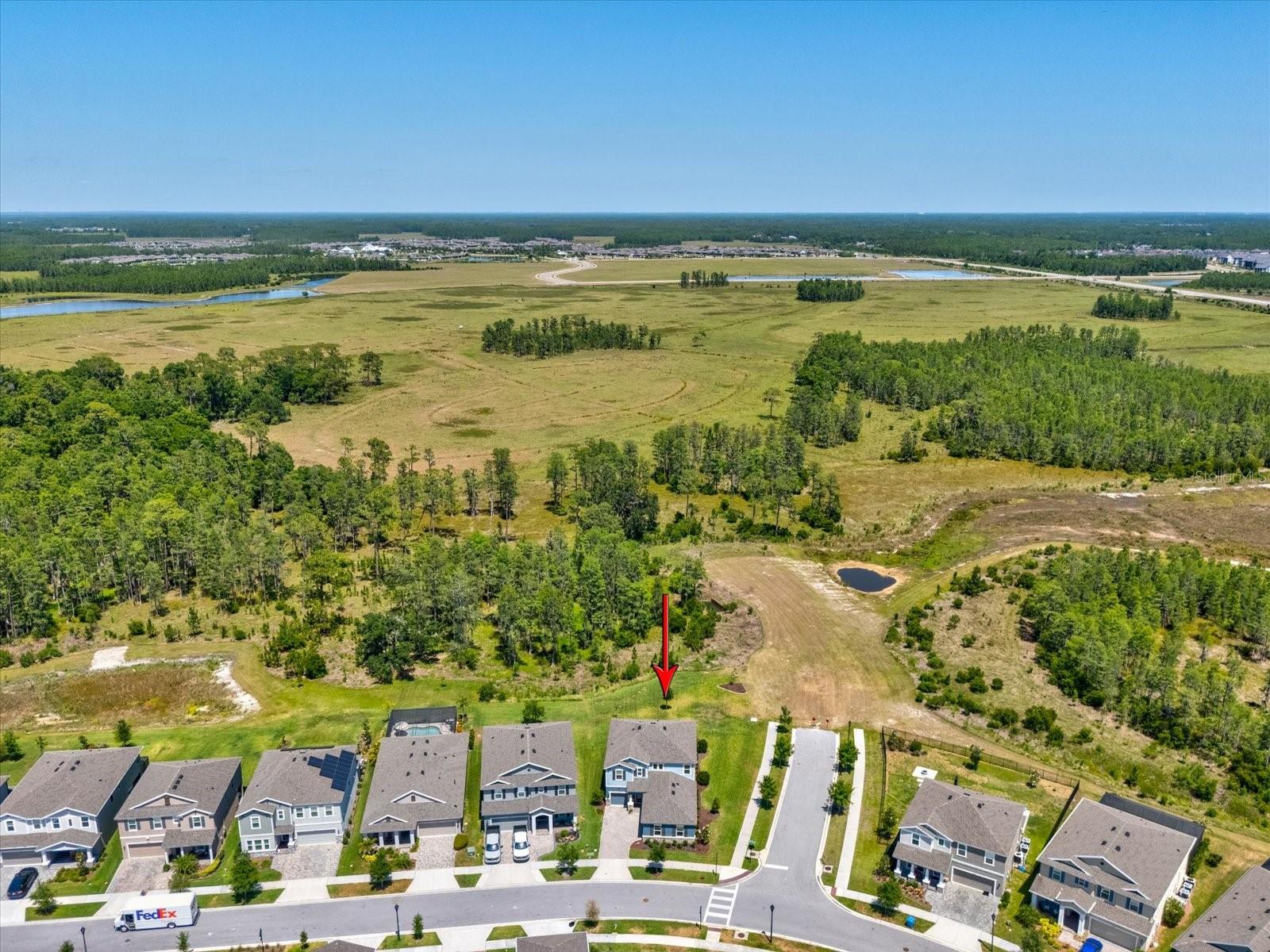 18219 RAMBLE ON WAY, LAND O LAKES, FL, 34638