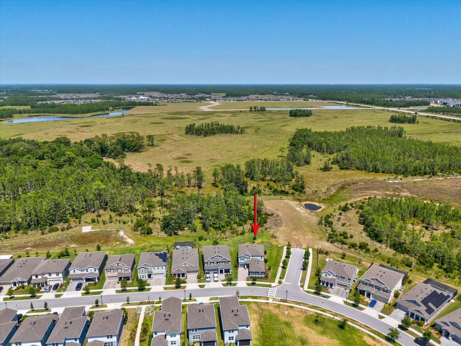 18219 RAMBLE ON WAY, LAND O LAKES, FL, 34638