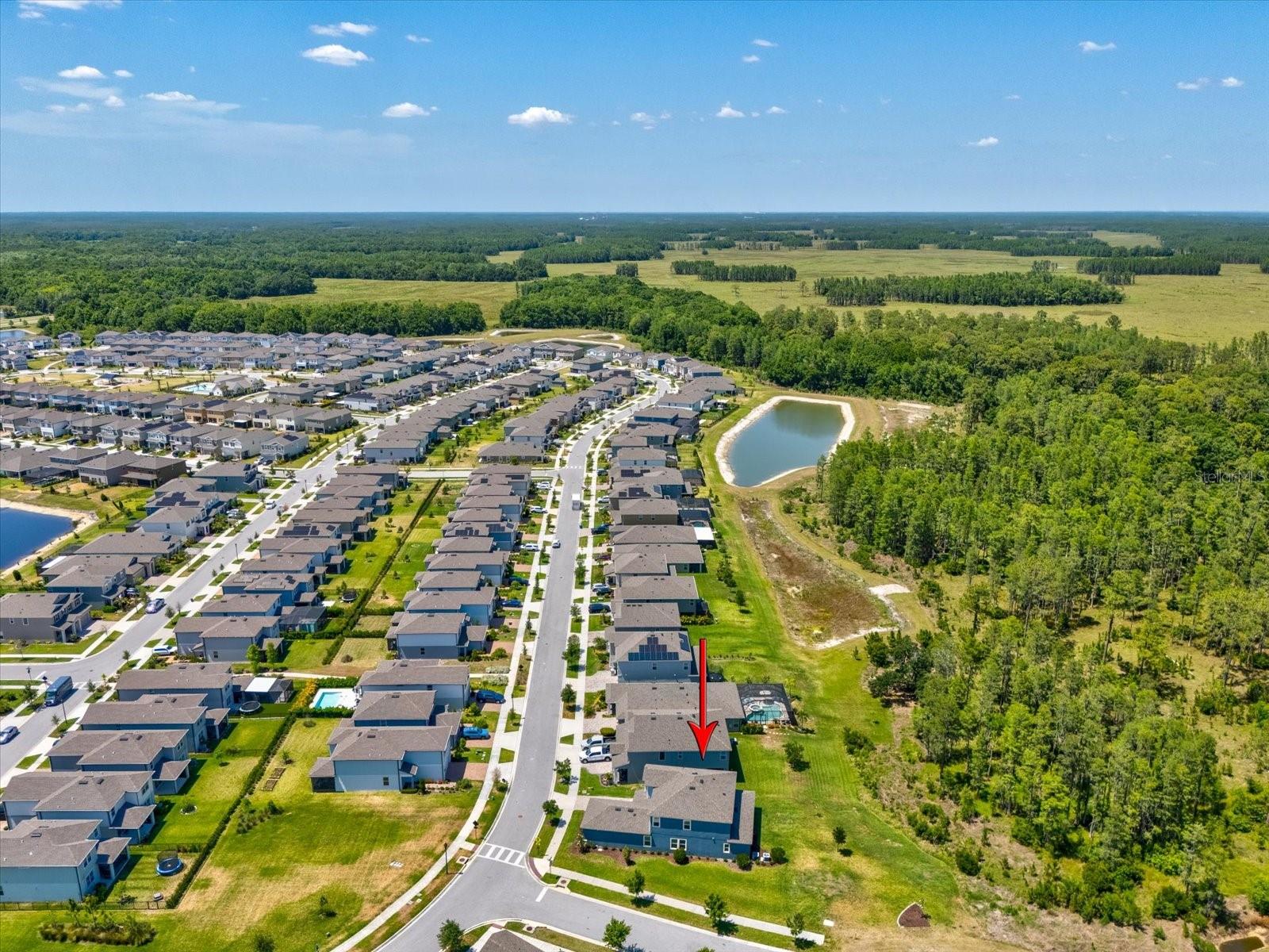 18219 RAMBLE ON WAY, LAND O LAKES, FL, 34638