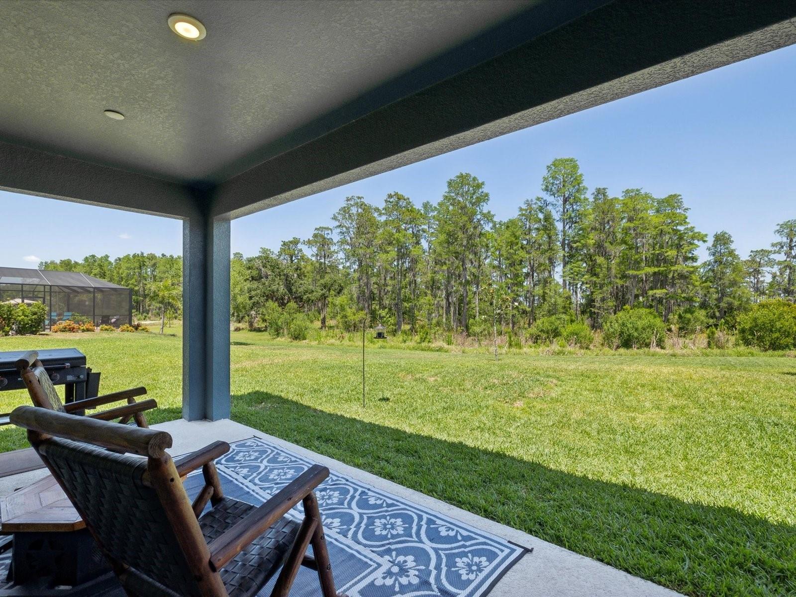 18219 RAMBLE ON WAY, LAND O LAKES, FL, 34638