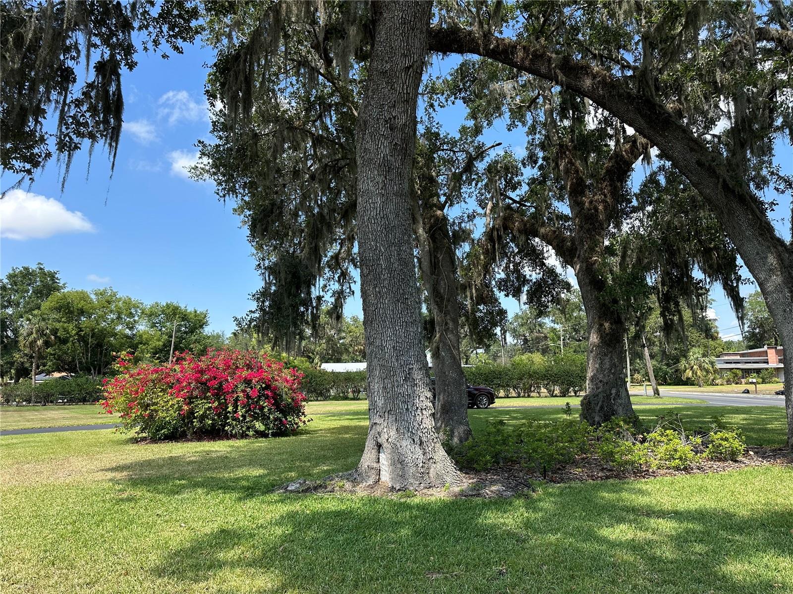 708 E MAIN ST, WAUCHULA, FL, 33873