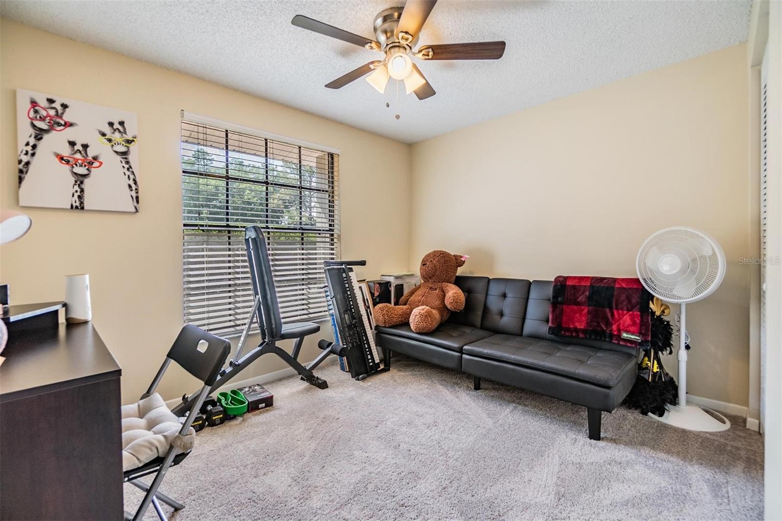 16309 CALIENTE PL, TAMPA, FL, 33624