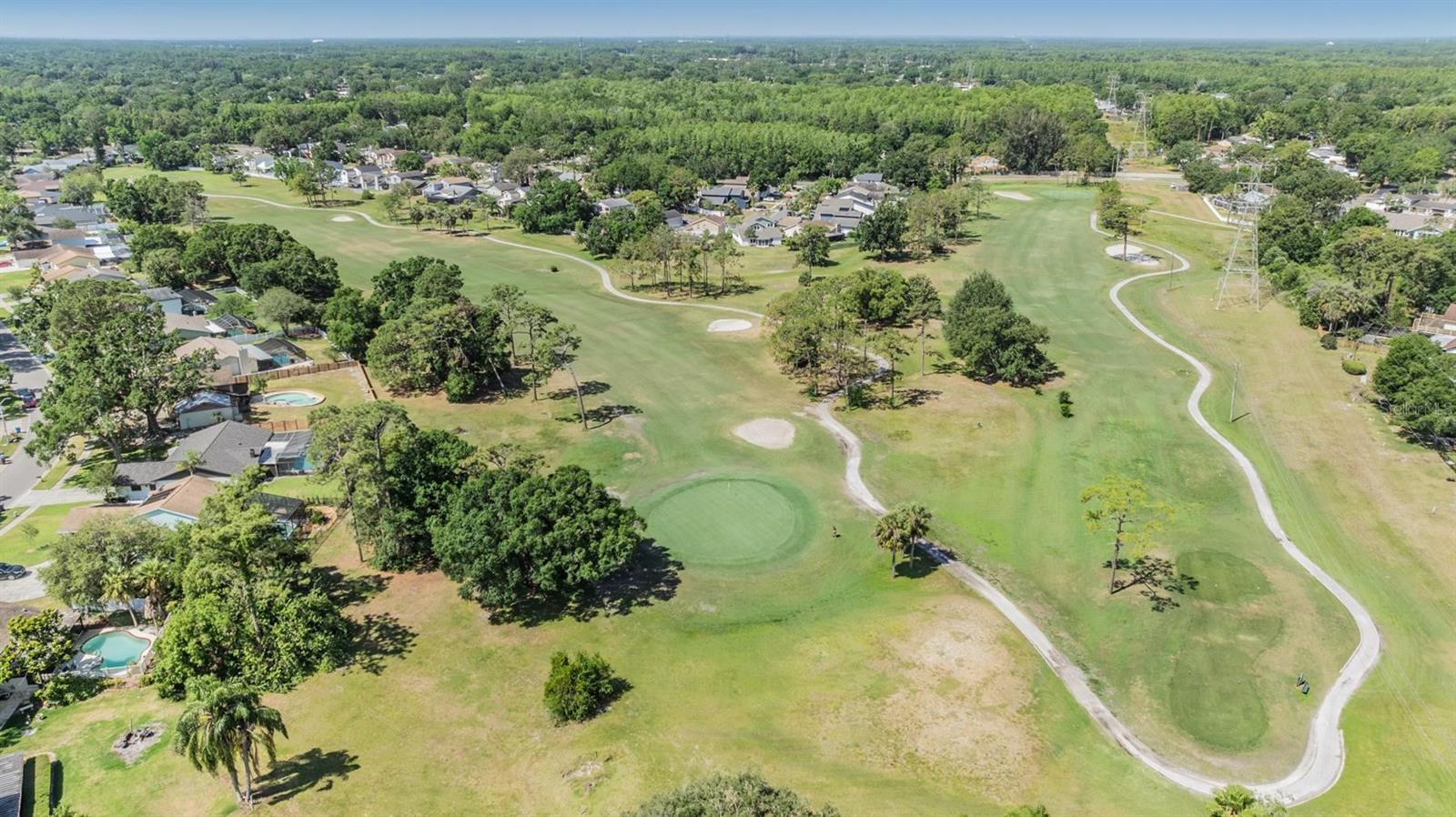 16309 CALIENTE PL, TAMPA, FL, 33624