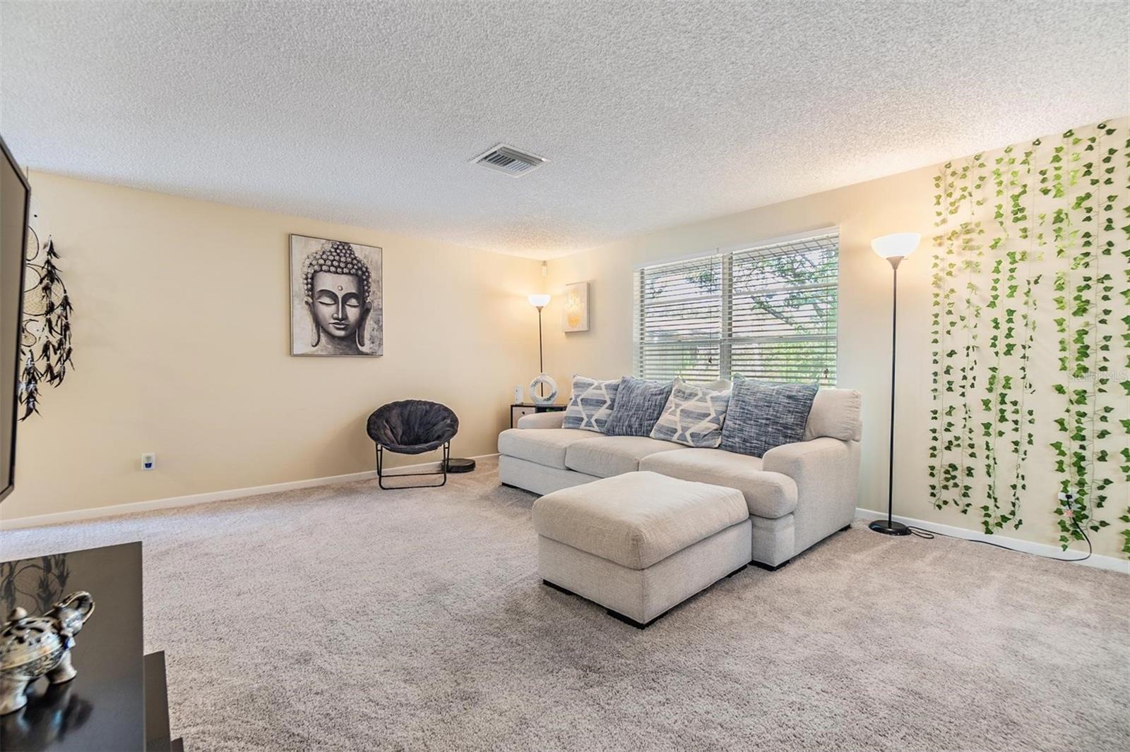 16309 CALIENTE PL, TAMPA, FL, 33624