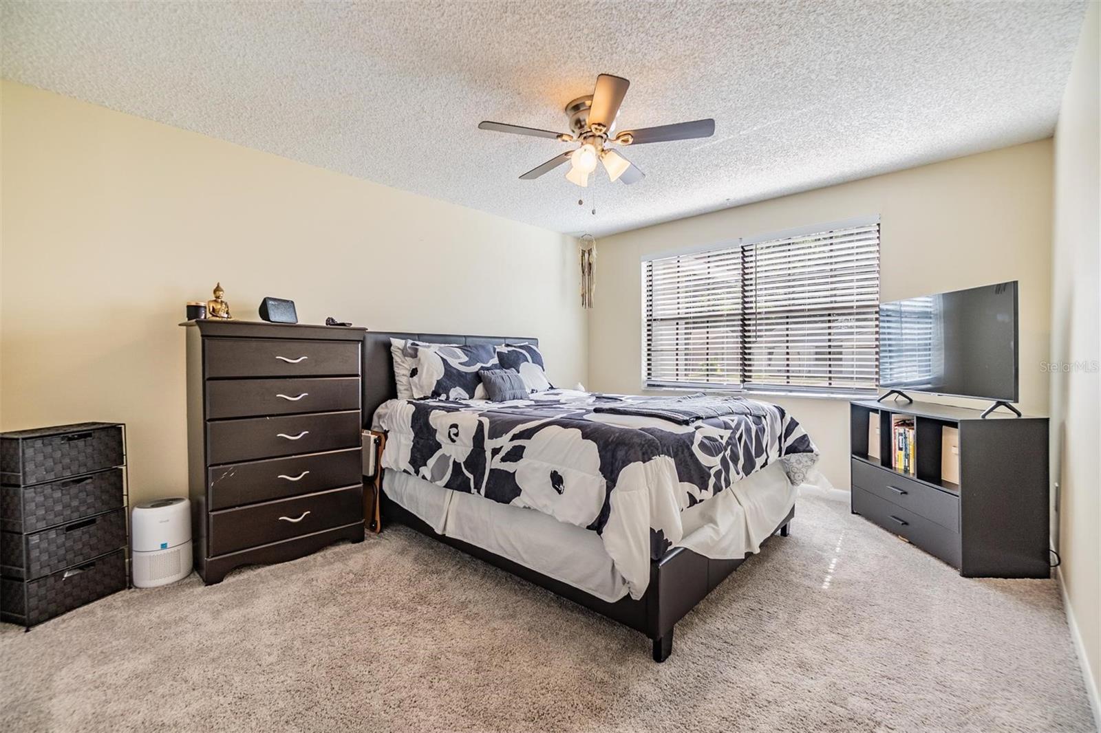 16309 CALIENTE PL, TAMPA, FL, 33624