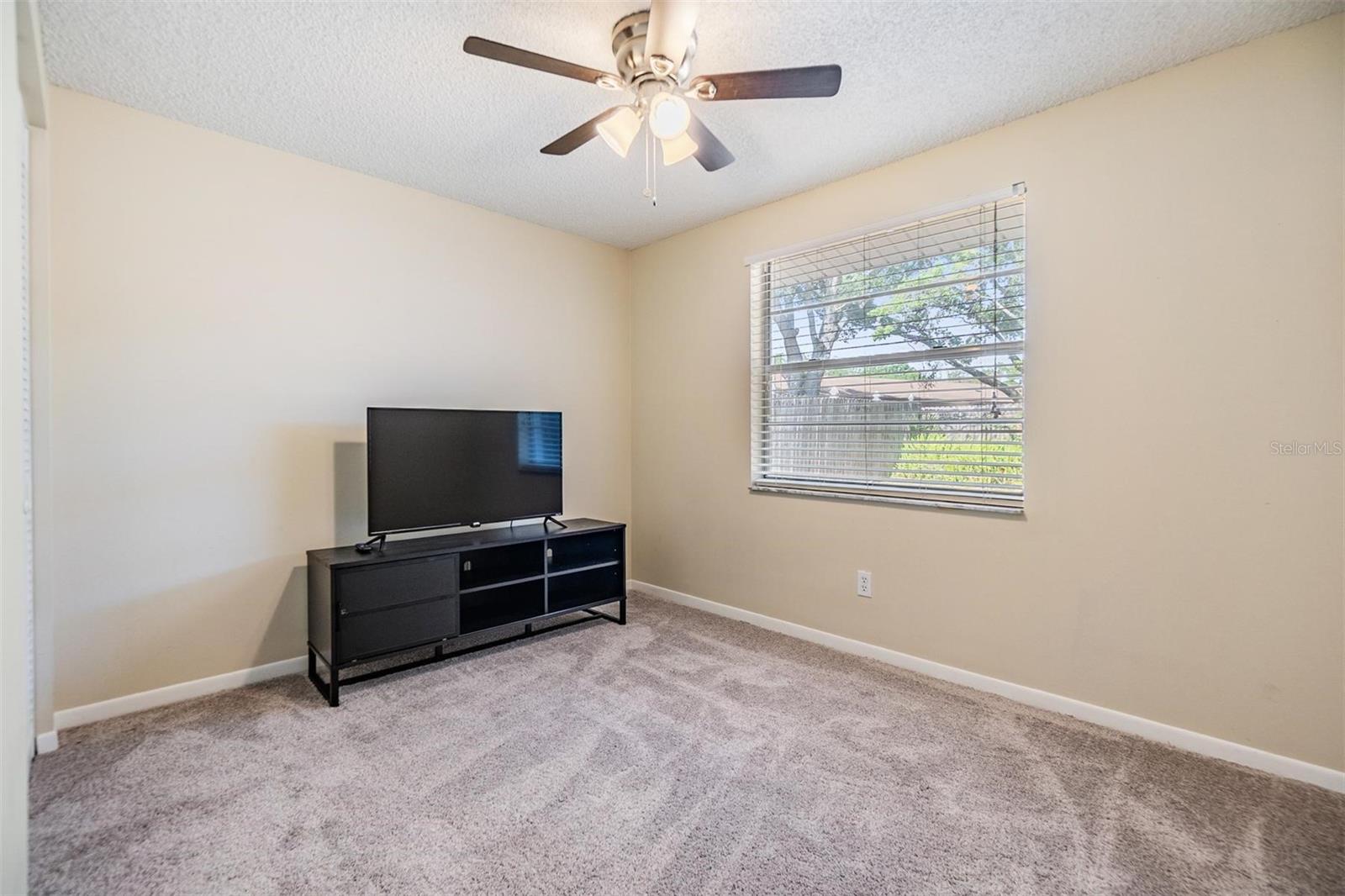 16309 CALIENTE PL, TAMPA, FL, 33624