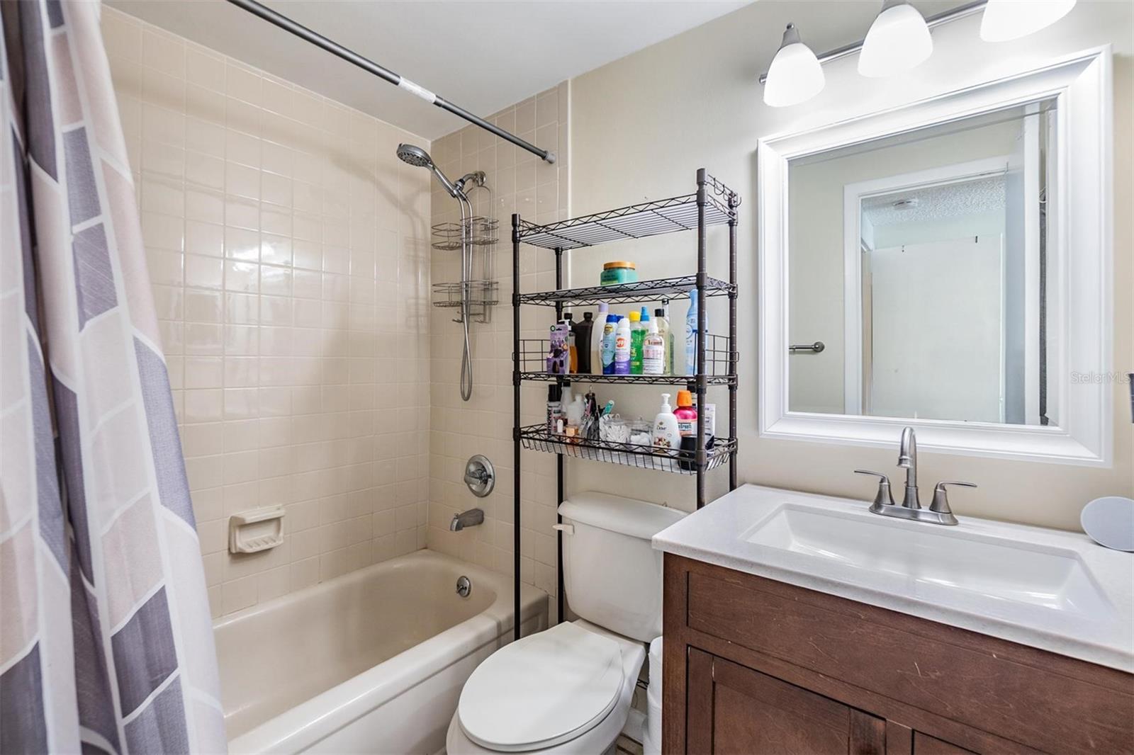 16309 CALIENTE PL, TAMPA, FL, 33624