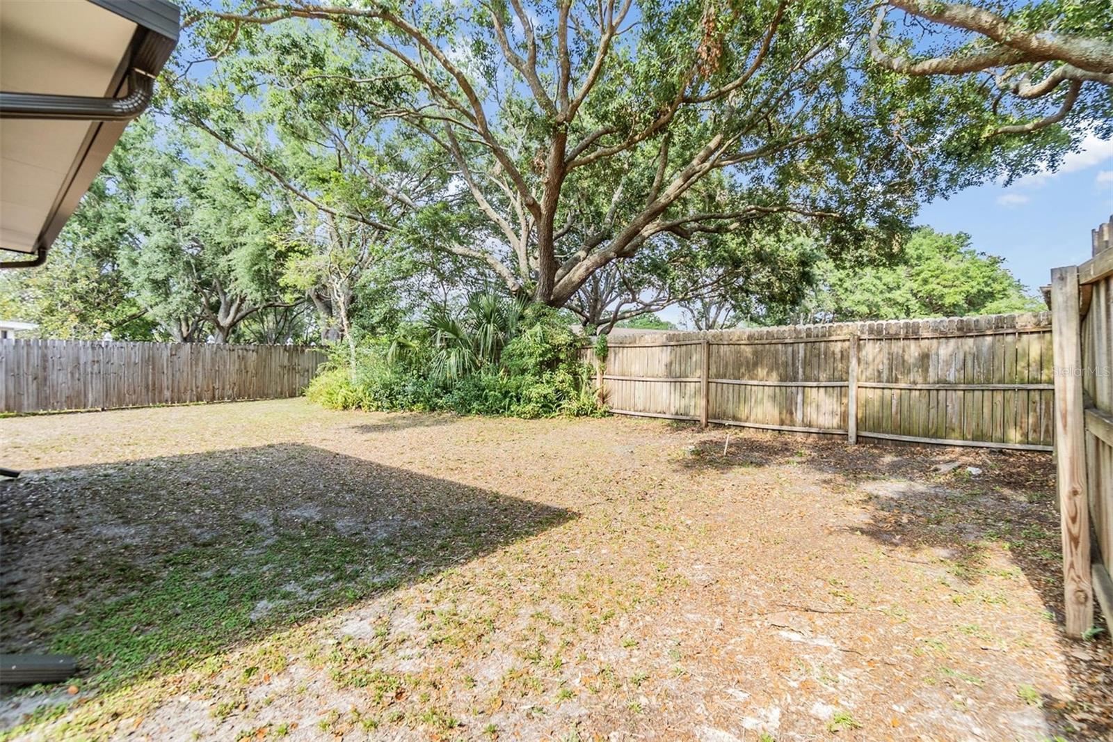 16309 CALIENTE PL, TAMPA, FL, 33624