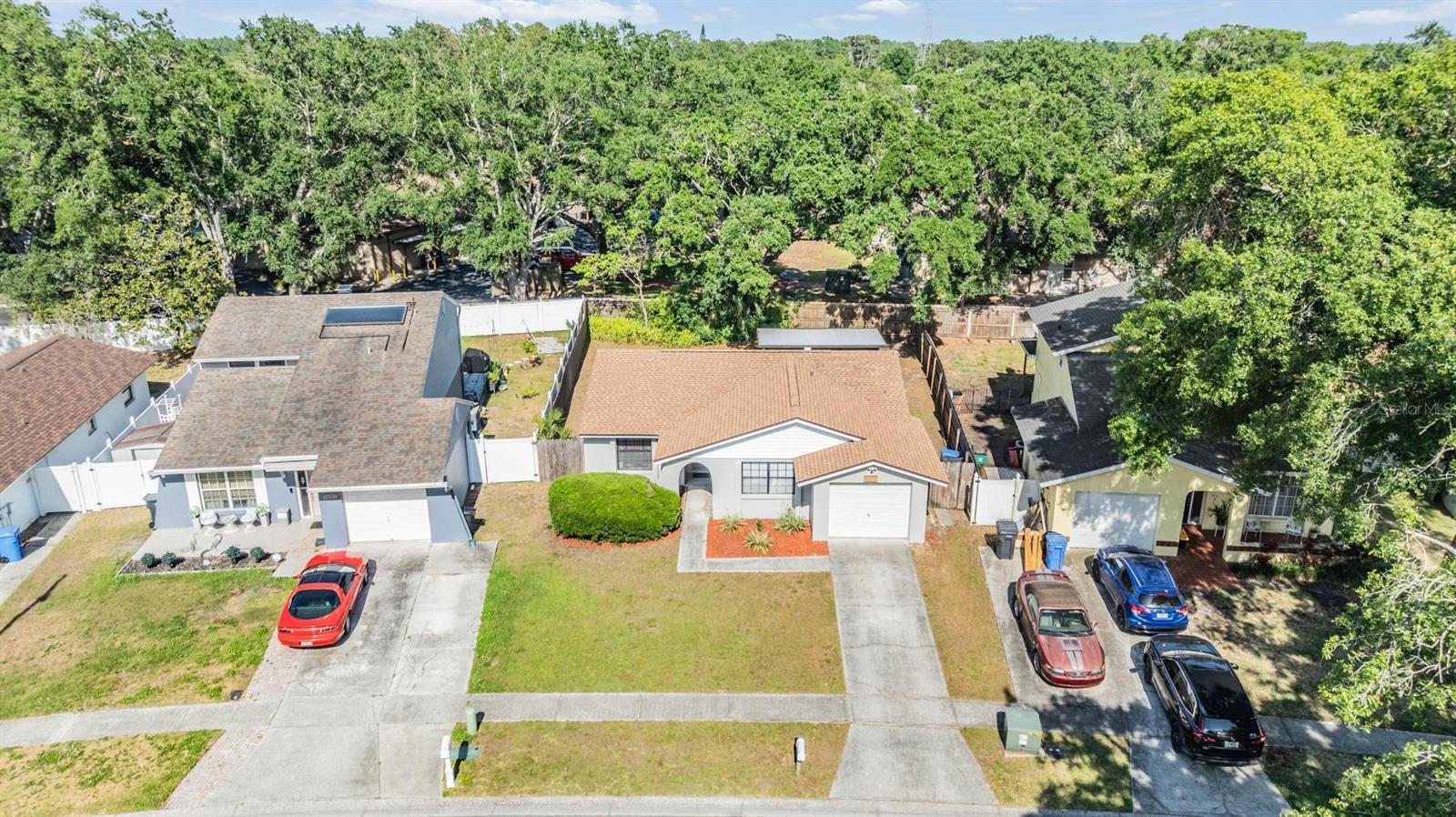 16309 CALIENTE PL, TAMPA, FL, 33624