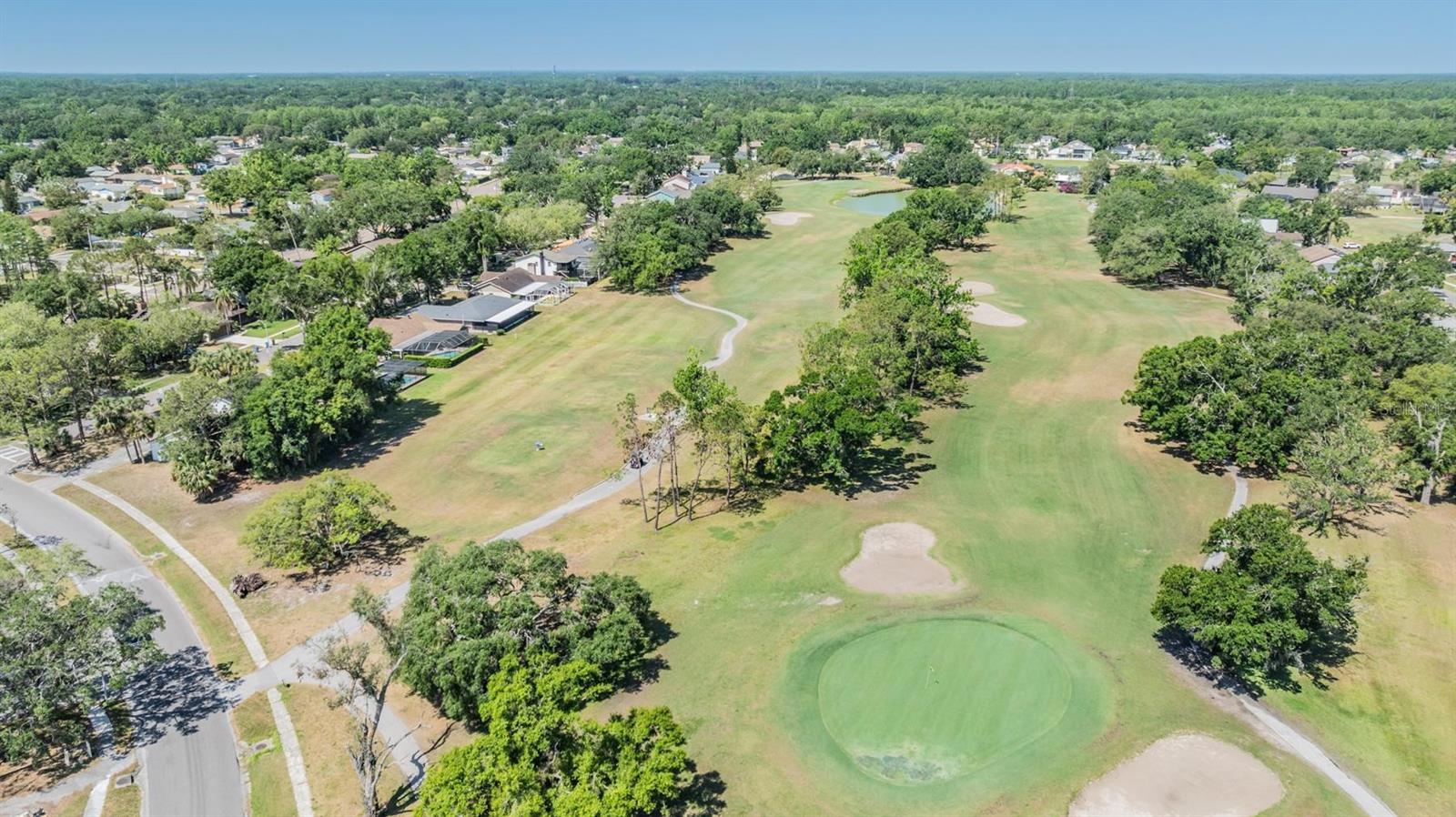 16309 CALIENTE PL, TAMPA, FL, 33624