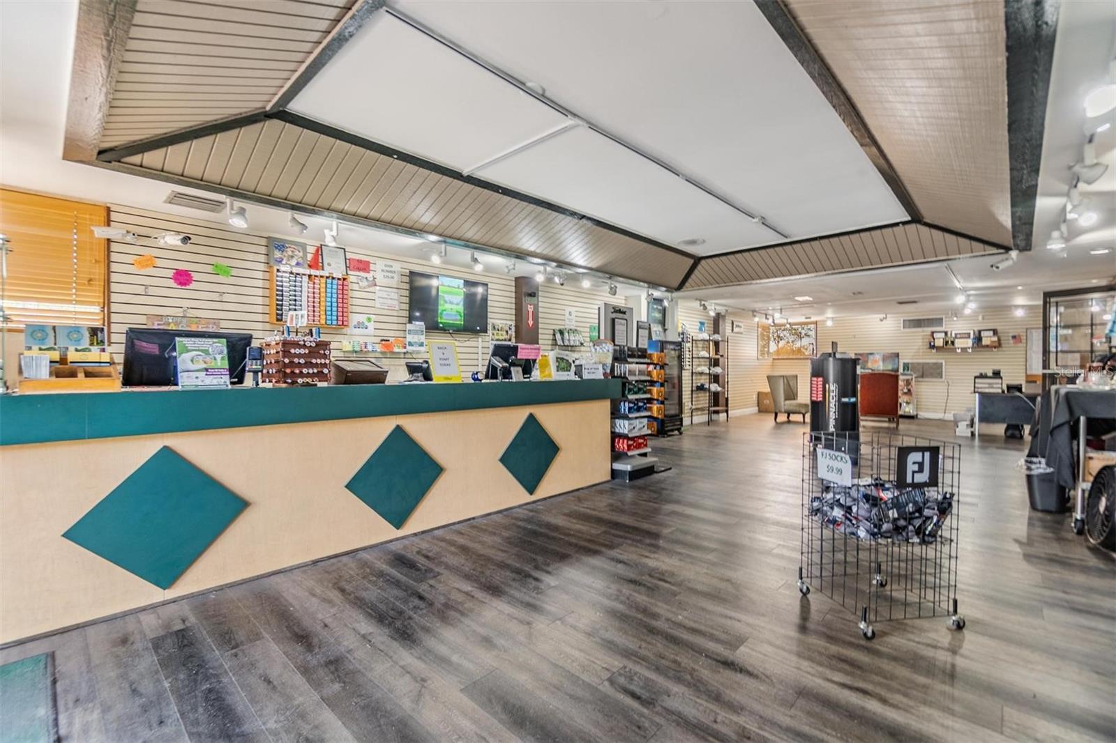 16309 CALIENTE PL, TAMPA, FL, 33624